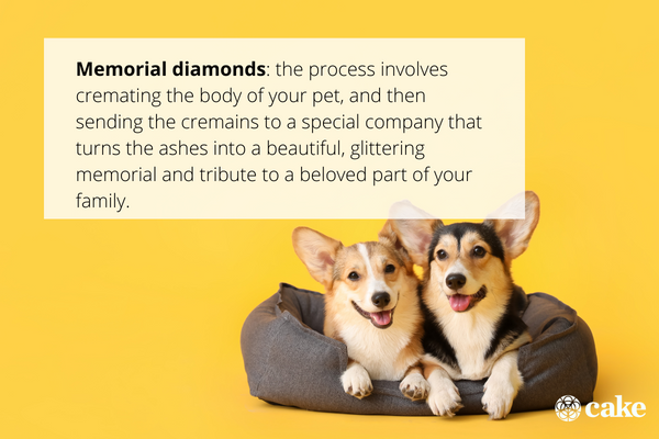What are Pet Memorial Diamonds?